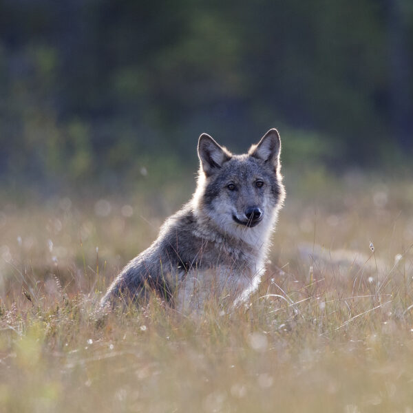 Föreläsning i Åhus